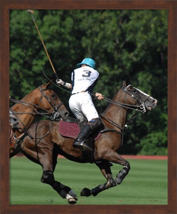 Framed Polo nearside back Print