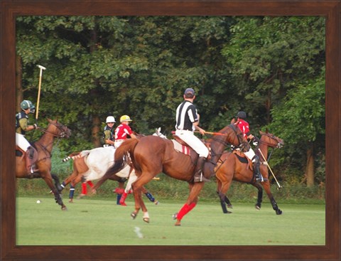 Framed Polo Umpire Print