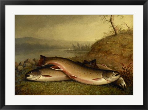 Framed Brooklyn Museum - Trout - Walter M. Brackett Print