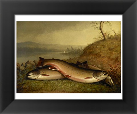 Framed Brooklyn Museum - Trout - Walter M. Brackett Print