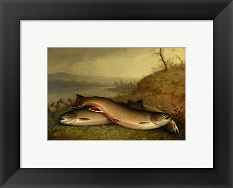 Framed Brooklyn Museum - Trout - Walter M. Brackett Print