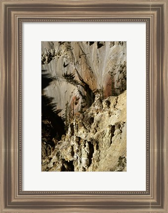 Framed Grand Canyon of the Yellowstone River Yellowstone National Park Wyoming USA Print