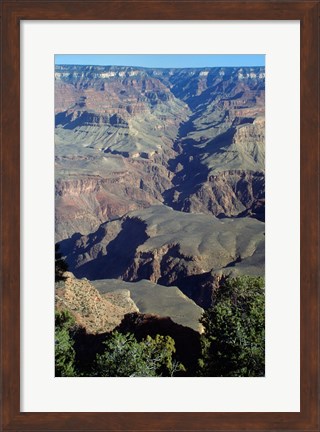 Framed Grand Canyon National Park with Green Trees Print