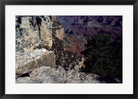 Framed Looking Down Into the Grand Canyon Print