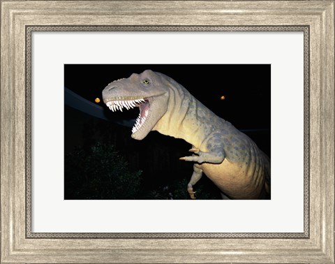 Framed Albertosaurus, Royal Tyrrell Museum, Drumheller, Alberta, Canada Print