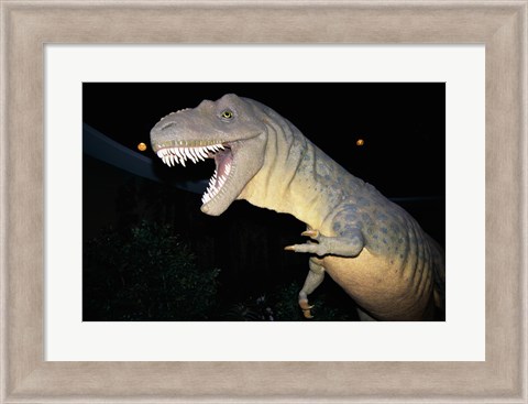 Framed Albertosaurus, Royal Tyrrell Museum, Drumheller, Alberta, Canada Print