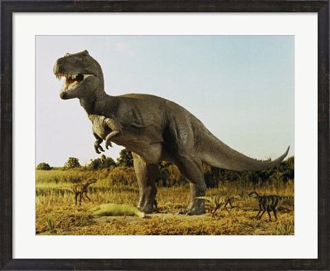 Framed Tyrannosaur Stealing The Kill Thescelosaur From Dromeosaurs Print