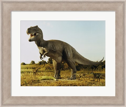 Framed Tyrannosaur Stealing The Kill Thescelosaur From Dromeosaurs Print