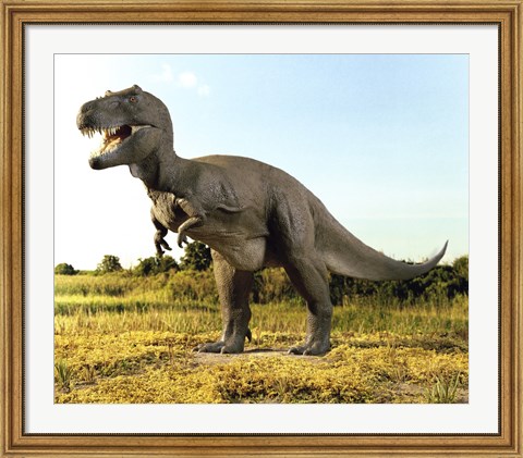 Framed Close-up of a tyrannosaurus rex standing in a field Print