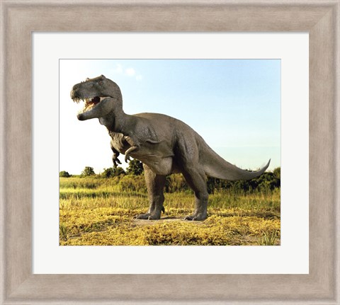 Framed Close-up of a tyrannosaurus rex standing in a field Print