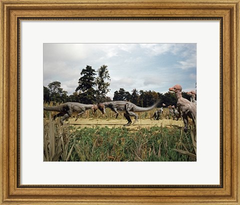 Framed Side profile of two pachycephalosaurus fighting in a forest Print