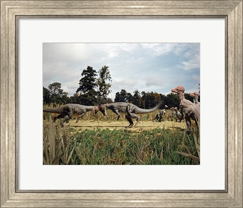 Framed Side profile of two pachycephalosaurus fighting in a forest Print