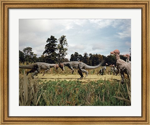 Framed Side profile of two pachycephalosaurus fighting in a forest Print