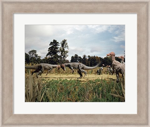 Framed Side profile of two pachycephalosaurus fighting in a forest Print