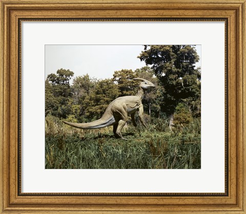 Framed Side profile of a parasaurolophus walking in a forest Print