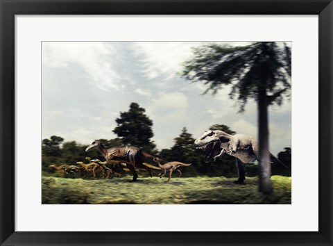 Framed Side profile of a tyrannosaur attacking a group of anatosaurus Print