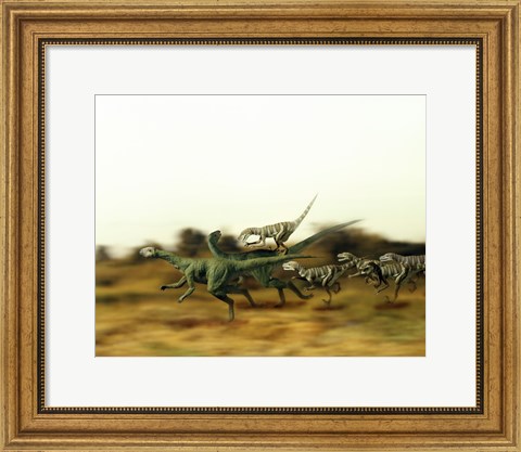 Framed Dromeosaurus Chasing Thescelosaurus Print