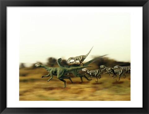 Framed Dromeosaurus Chasing Thescelosaurus Print