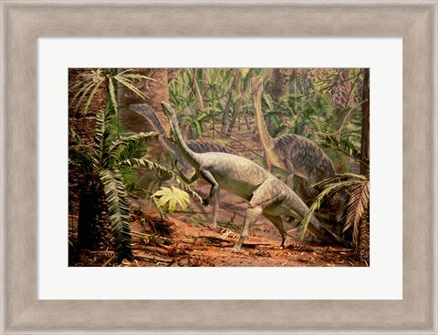 Framed Anchisaurus Dinosaur State Park Connecticut, USA Print