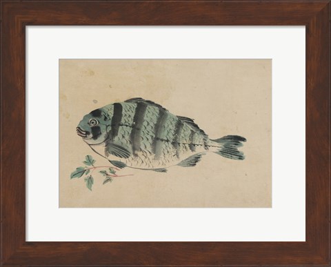 Framed Fish Print