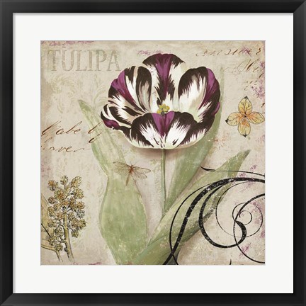 Framed Tulipa II Print