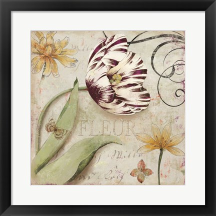 Framed Tulipa I Print