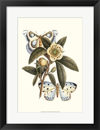 Framed Butterfly Oasis I Print