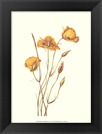 Framed Delicate Wildflowers I Print