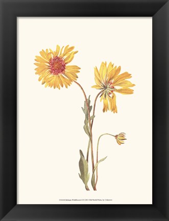 Framed Delicate Wildflowers II Print