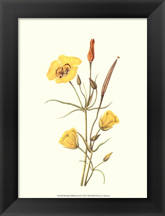 Framed Delicate Wildflowers III Print