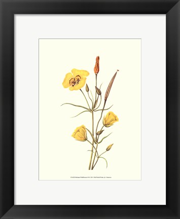 Framed Delicate Wildflowers III Print