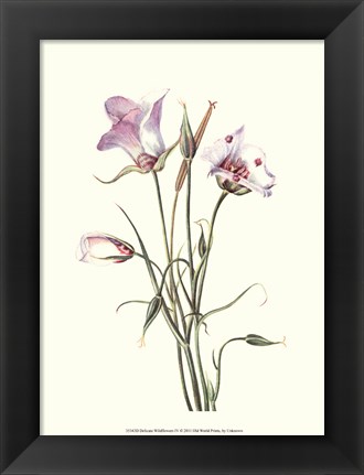 Framed Delicate Wildflowers IV Print