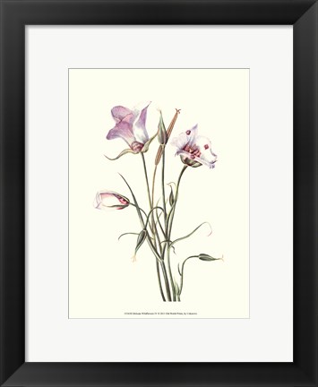 Framed Delicate Wildflowers IV Print