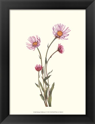 Framed Delicate Wildflowers V Print