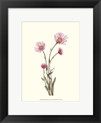 Framed Delicate Wildflowers V Print