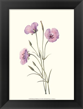 Framed Delicate Wildflowers VI Print