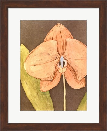 Framed Orchid &amp; Earth IV Print