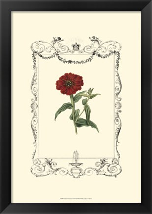 Framed Garden Charm II Print