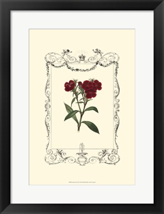 Framed Garden Charm III Print