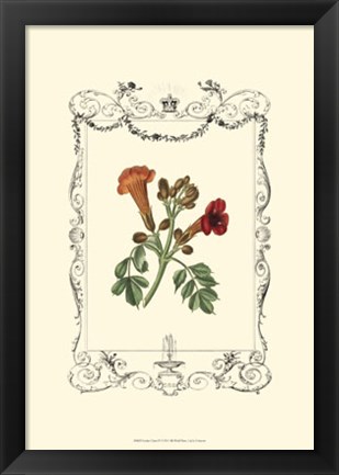 Framed Garden Charm IV Print