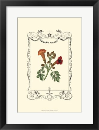 Framed Garden Charm IV Print