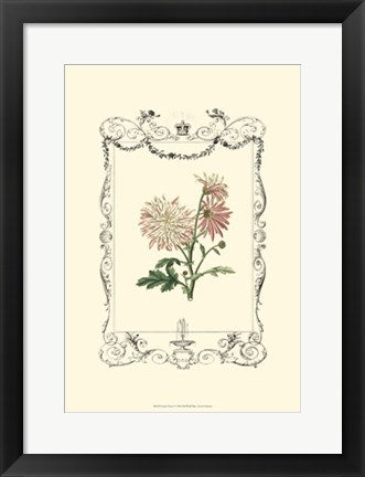 Framed Garden Charm V Print