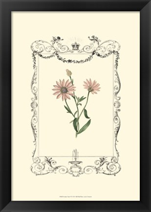 Framed Garden Charm VI Print