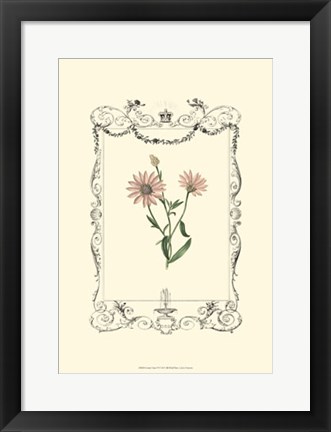 Framed Garden Charm VI Print