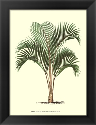 Framed Coastal Palm I Print