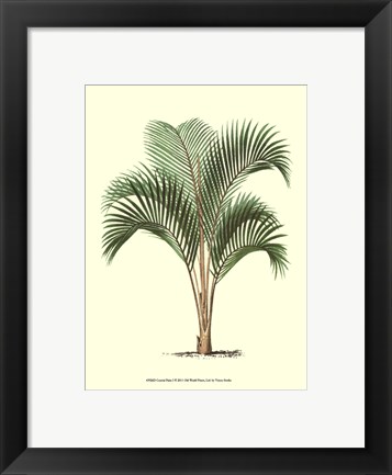 Framed Coastal Palm I Print