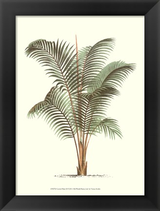 Framed Coastal Palm II Print