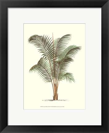 Framed Coastal Palm II Print