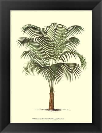 Framed Coastal Palm III Print