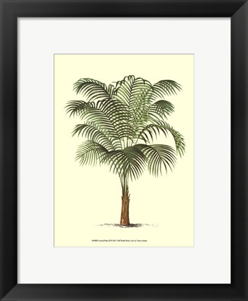 Framed Coastal Palm III Print